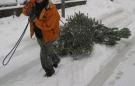 Likvidace vánočních stromků 1